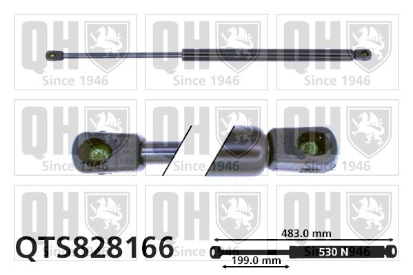 QUINTON HAZELL QTS828166: Gaasivedru, pagasi- / veoruum 483mm