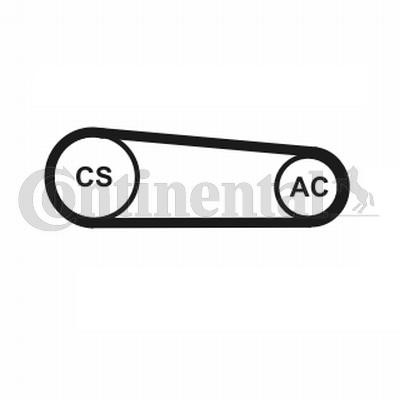 CONTITECH 4PK917 ELAST T1: Set curea transmisie cu caneluri