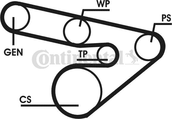 CONTITECH 6PK1800D1: Set curea transmisie cu caneluri