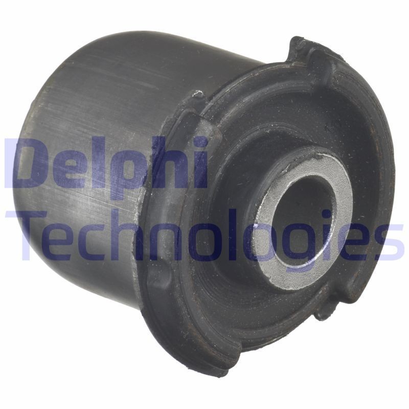 DELPHI TD1496W: Тампон, носач