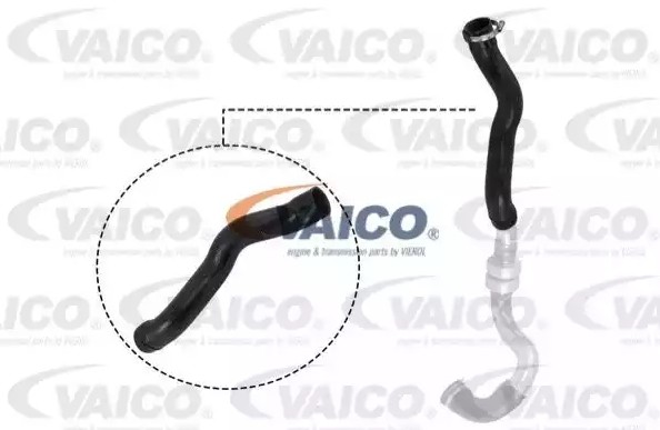 VAICO V21-0025: Kompressoriõhuvoolik Q+, original equipment manufacturer quality