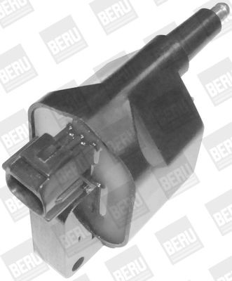 BERU ZS396: Süütepool 12V, 2-poolsus