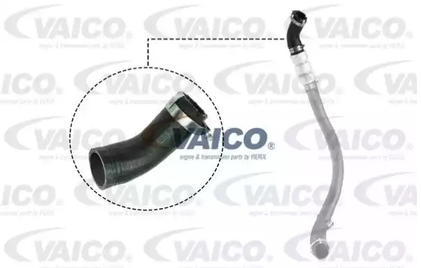 VAICO V25-1037: Kompressoriõhuvoolik Q+, original equipment manufacturer quality