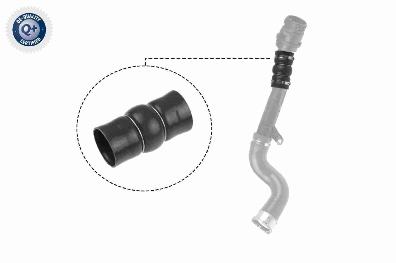 VAICO V46-0831: Kompressoriõhuvoolik Q+, original equipment manufacturer quality