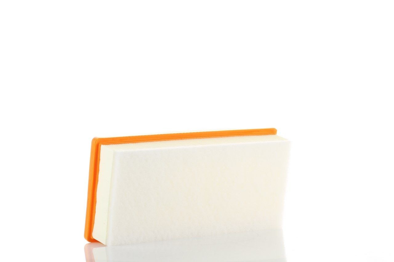 PZL Filters WA50386: Filtro aria