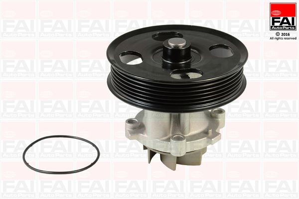 FAI AutoParts WP6638: Ūdenssūknis