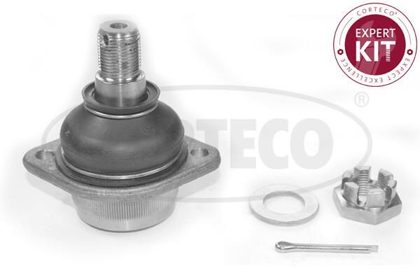 CORTECO 49399990: Traggelenk Hinterachse, oben