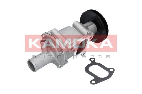 KAMOKA T0116: Vandpumpe