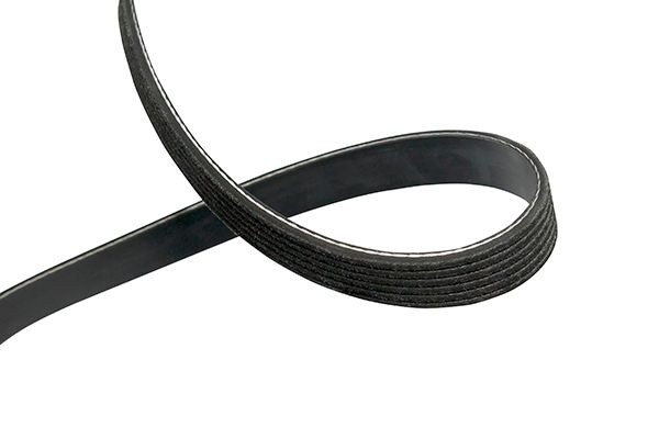 KAVO PARTS DMV-4028: Moniurahihna 1692mm, Kiiloja: 6