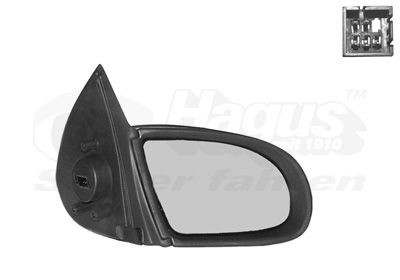 VAN WEZEL 3778808: Εξωτερικός καθρέπτης * HAGUS * δεξιά