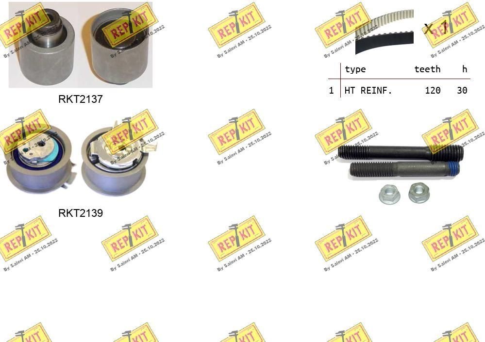 REPKIT RKTK0867: Kit cinghia di distribuzione N° denti: 120, con cinghia