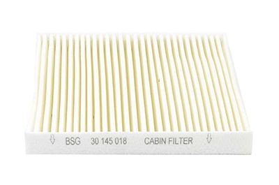 BSG BSG 30-145-018: Filtrs, Salona telpas gaiss Filtra patrona, Daļiņu filtrs