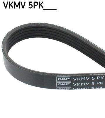 SKF VKMV 5PK1120: Curea transmisie cu caneluri 1120mm, Numar nervuri: 5