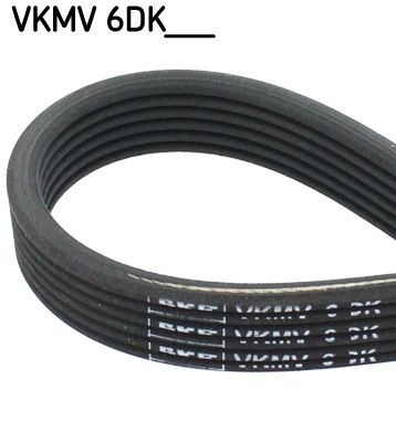 SKF VKMV 6DK1195: Curea transmisie cu caneluri 1195mm, Numar nervuri: 6