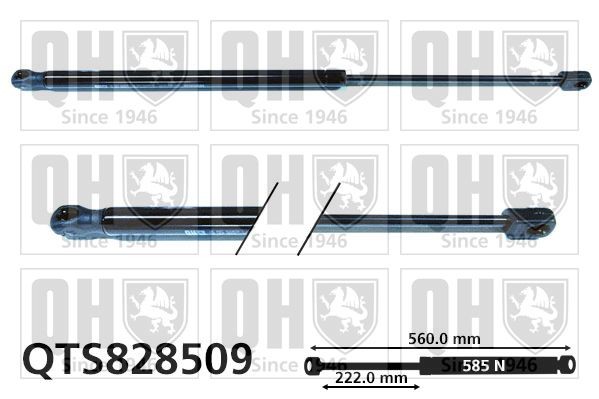 QUINTON HAZELL QTS828509: Gāzes atspere, Bagāžas / Kravas nodalījuma vāks 560mm