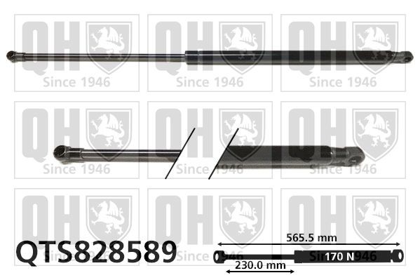 QUINTON HAZELL QTS828589: Газов амортисьор, багажно / товарно пространство 566mm