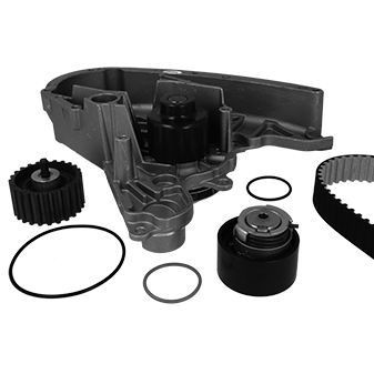 METELLI 30-0900-1: Kit de distribution + pompe à eau avec amortisseur tendeur, poulie de tension