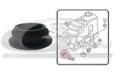 3RG 83731: Guarnizione, Pompa / Serbatoio acqua lavavetri / fari