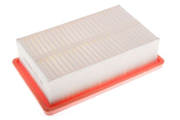 DENCKERMANN A142123: Filtro aria