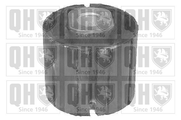 QUINTON HAZELL EM4199: Silent bloc d'essieu