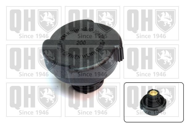 QUINTON HAZELL FC503: Lock till expansionskärl