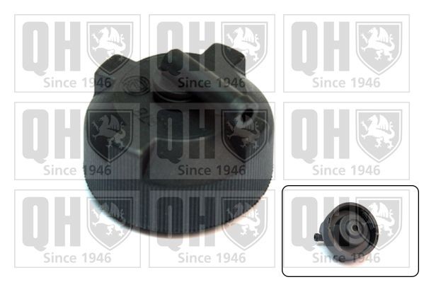 QUINTON HAZELL FC518: Lock till expansionskärl
