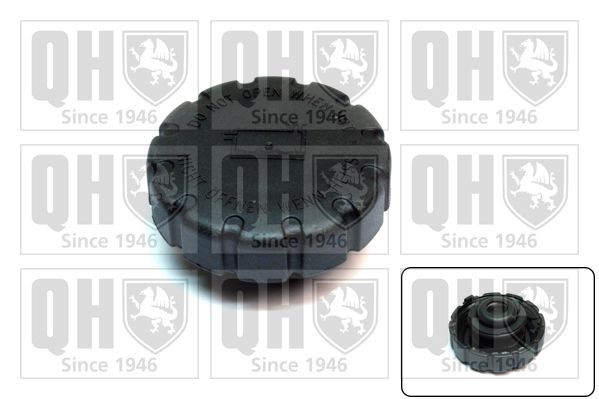 QUINTON HAZELL FC523: Lock till expansionskärl