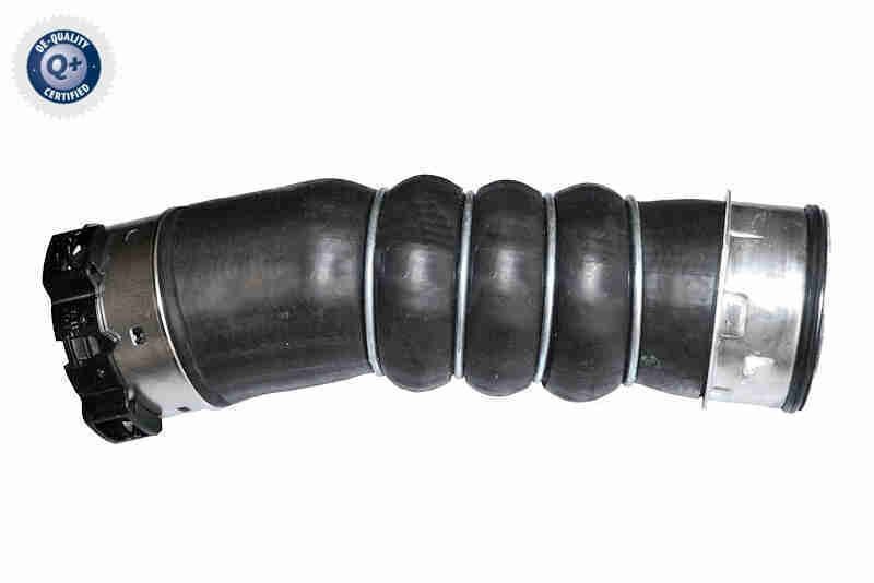 VAICO V20-3492: Kompressoriõhuvoolik Q+, original equipment manufacturer quality