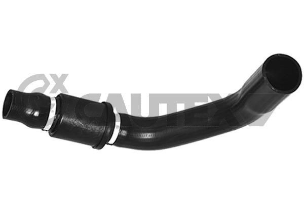 CAUTEX 086796: Kompressoriõhuvoolik Kompressoriõhu radiaator, Sissepääs, paremal