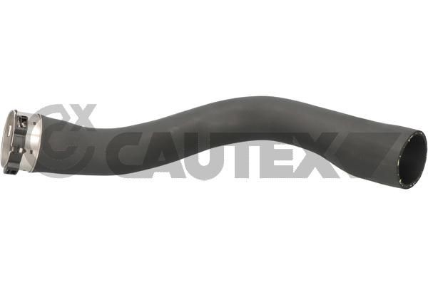 CAUTEX 486706: Kompressoriõhuvoolik vasakul, Kompressoriõhu radiaator
