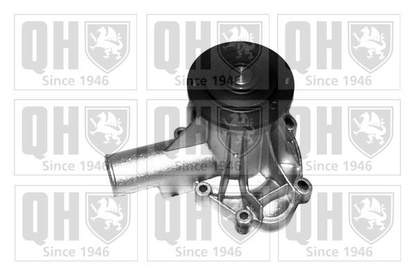 QUINTON HAZELL QCP2566: Vandens siurblys