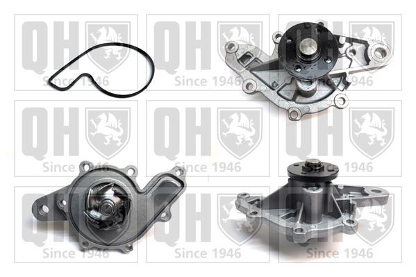 QUINTON HAZELL QCP3511: Pompa acqua con guarnizioni