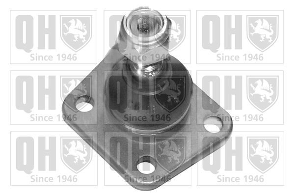 QUINTON HAZELL QSJ1033S: Traggelenk 17,1mm, Premium Kit+