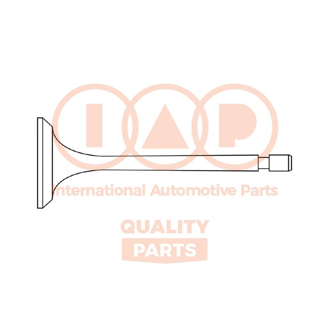 IAP QUALITY PARTS 110-13093: Izplūdes vārsts