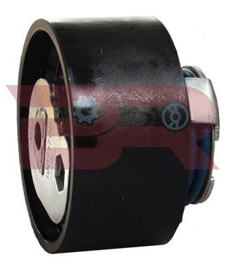 BOTTO RICAMBI BRM3759: Galet tendeur de courroie d'accessoire