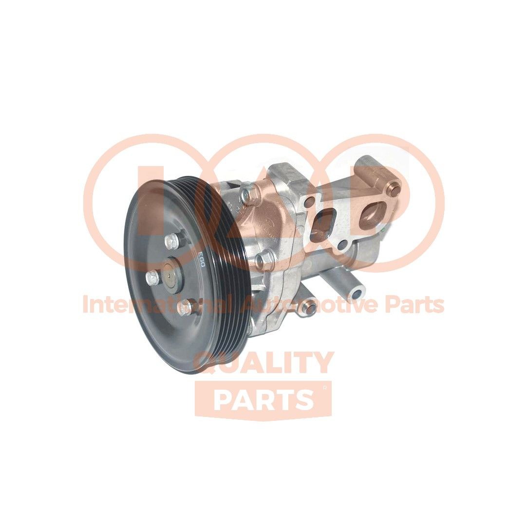 IAP QUALITY PARTS 150-21085G: Bomba de água