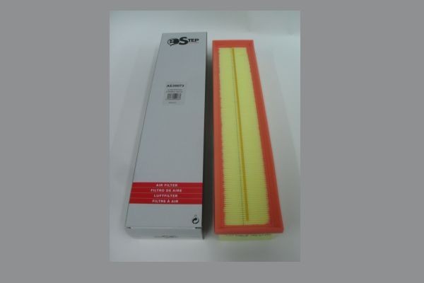 STEP FILTERS AE39073: Gaisa filtrs