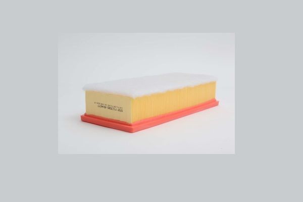 STEP FILTERS AE44277: Gaisa filtrs