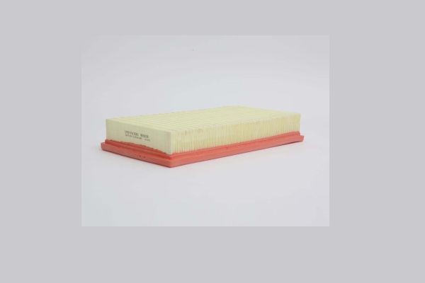 STEP FILTERS AE6828: Gaisa filtrs