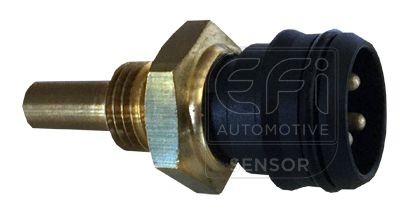 EFI AUTOMOTIVE 295058: Andur, Jahutusvedeliku temp. EFI - SENSOR