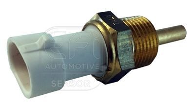 EFI AUTOMOTIVE 295070: Andur, Jahutusvedeliku temp. EFI - SENSOR