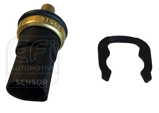 EFI AUTOMOTIVE 295163: Senzor, temperatura lichid de racire EFI - SENSOR