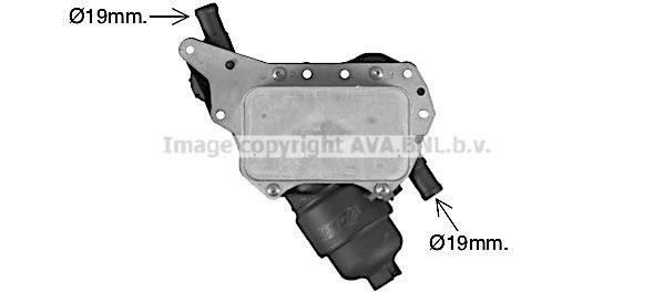 PRASCO RT3638H: Eļļas radiators, Motoreļļa ar filtru