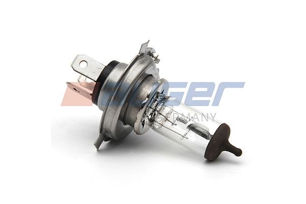 AUGER 91336: Bec de far