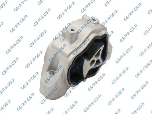 GSP 533916: Variklio montavimas dešinė