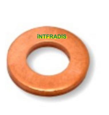 INTFRADIS 10152: Tætningsring, dyseholder