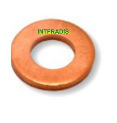 INTFRADIS 10163: Tætningsring, dyseholder