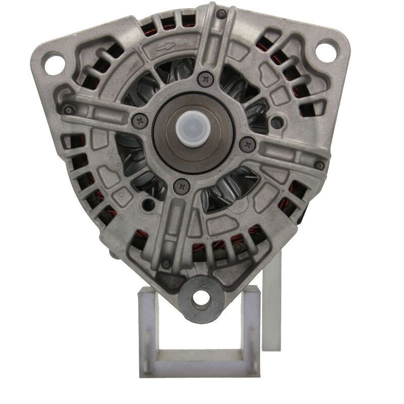 BV PSH 556.501.100.280: Laturi 100A