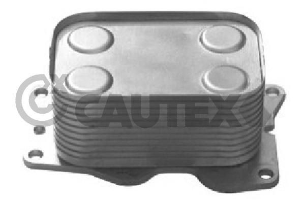 CAUTEX 751801: Radiatore olio motore senza guarnizione