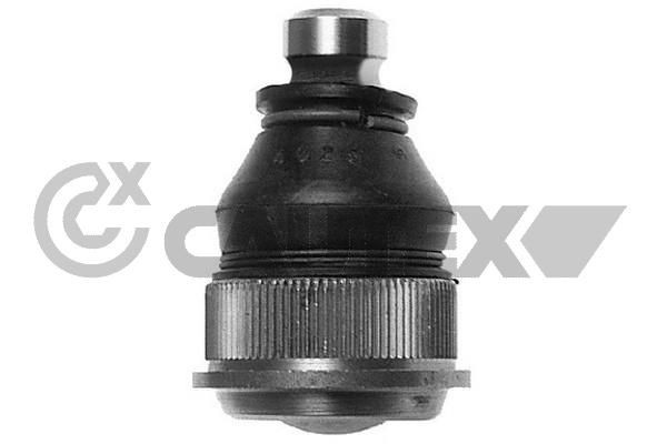 CAUTEX 755001: Kande- / juhtliigend Esisild